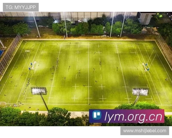 世界杯直播观看最新指南,轻松掌握多平台在线观看技巧